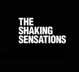 logo The Shaking Sensations